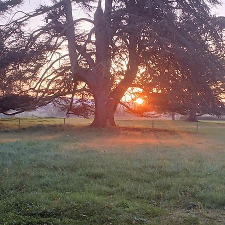 Chateau De Maucouvent Challuy Bagian luar foto